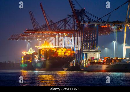 Containerterminal Tollerort, Containerschiffe werden be- und entladen, einer von 4 Containerterminals im Hamburger Hafen, Hamburg, Deutschland Containerterminal Tollerort *** Containerterminal Tollerort, Containerschiffe werden be- und entladen, einer von 4 Containerterminals im Hamburger Hafen, Hamburg, Deutschland Containerterminal Tollerort Stockfoto