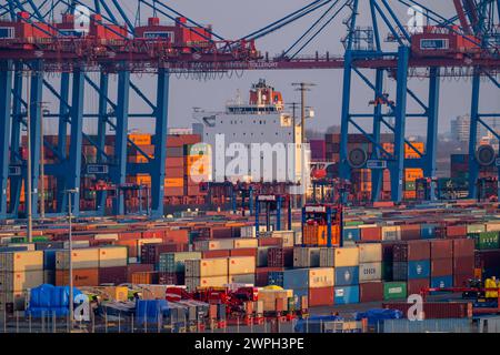 Containerterminal Tollerort, Containerschiffe werden be- und entladen, einer von 4 Containerterminals im Hamburger Hafen, Hamburg, Deutschland Containerterminal Tollerort *** Containerterminal Tollerort, Containerschiffe werden be- und entladen, einer von 4 Containerterminals im Hamburger Hafen, Hamburg, Deutschland Containerterminal Tollerort Stockfoto