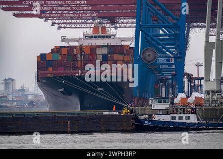 Containerterminal Tollerort, Containerschiffe werden be- und entladen, einer von 4 Containerterminals im Hamburger Hafen, Hamburg, Deutschland Containerterminal Tollerort *** Containerterminal Tollerort, Containerschiffe werden be- und entladen, einer von 4 Containerterminals im Hamburger Hafen, Hamburg, Deutschland Containerterminal Tollerort Stockfoto