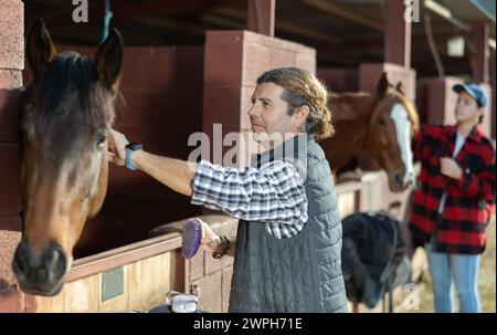 Lächelnder erwachsener Putzkopf eines braunen Pferdes mit Bürste im Pferdeclub Stockfoto