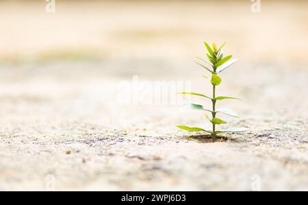 Der Tag der Erde ist ein wichtiger Tag. Es bezieht sich auf die menschliche Existenz auf der Erde. Stockfoto