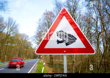 PRODUKTION - 06. März 2024, Hamburg, Scheeßel: Ein Straßenschild macht auf die Krötenwanderung aufmerksam. Auf vielen Landstraßen in Niedersachsen ist Vorsicht geboten, da die Kröten wieder migrieren. Milde Temperaturen vertreiben die Tiere und ihre Gefolgsleute Anfang des Jahres aus ihrem Winterquartier. (Zu dpa „die Krötenmigration beginnt Anfang des Jahres“) Foto: Sina Schuldt/dpa Stockfoto