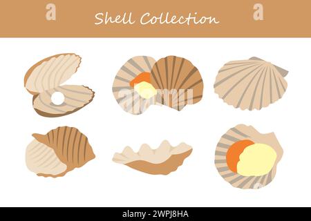 Set aus Muscheln im flachen Design. Vektorabbildung. Stock Vektor