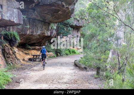 Eine Frau mittleren Alters, Model entlassen, fährt ihr Mountainbike entlang des Lady Carrington Drive im Royal National Park, Sydney, NSW, Australien, 2024 Stockfoto