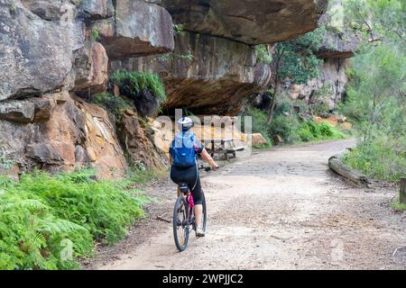 Eine Frau mittleren Alters, Model entlassen, fährt ihr Mountainbike entlang des Lady Carrington Drive im Royal National Park, Sydney, NSW, Australien, 2024 Stockfoto