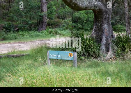 Feigenbaum Flat Picknickplatz im Royal National Park, in der Nähe von Hacking River und Audley Village, Sydney, NSW, Australien Stockfoto