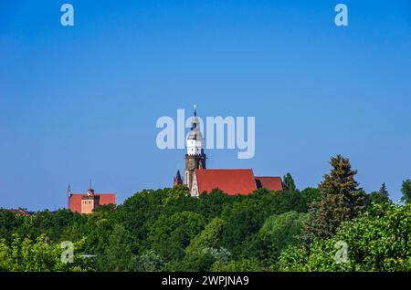 Kamenz, Sachsen, Deutschland Roter Turm und Stadtkirche Sankt Marien, Stadtansicht von Kamenz, Westlausitz, Sachsen, Deutschland. Roter Turm Roter Turm Stockfoto