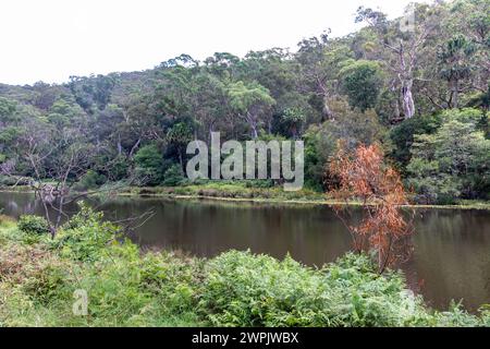 Port Hacking River im Royal National Park, in der Nähe von Audley Village, Sydney, NSW, Australien, 2024 Stockfoto