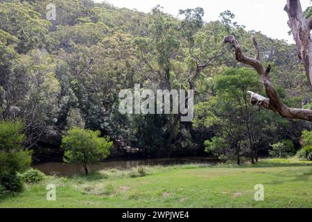 Port Hacking River im Royal National Park, in der Nähe von Audley Village, Sydney, NSW, Australien, 2024 Stockfoto