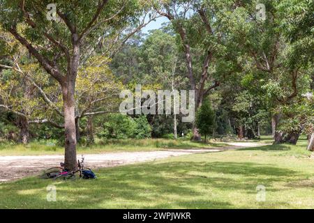 Royal National Park in der Nähe von Cronulla in Sydney, flacher Picknickbereich in Audley Village, New South Wales, Australien Stockfoto