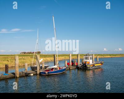 Bootsanleger mit Booten im Hafen von Hooge hallig, Nordfriesische Inseln, Schleswig-Holstein, Deutschland Stockfoto