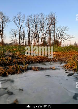 Winter im Siegerland. Der Tag startet wie hier bei Siegen-Oberschelden frostig aber schön schön schön. Baeume Bäume und eine gefrorene Pfuetze Pfütze Winter im Siegerland am 08.03.2024 in Siegen/Deutschland. *** Winter in Siegerland der Tag beginnt wie hier bei Siegen Oberschelden frostige, aber schöne Bäume und ein gefrorener Pfützenwintertag im Siegerland am 08 03 2024 in Siegen Deutschland Stockfoto