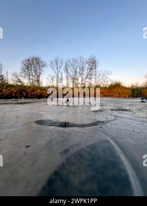 Winter im Siegerland. Der Tag startet wie hier bei Siegen-Oberschelden frostig aber schön schön schön. Baeume Bäume und eine gefrorene Pfuetze Pfütze Winter im Siegerland am 08.03.2024 in Siegen/Deutschland. *** Winter in Siegerland der Tag beginnt wie hier bei Siegen Oberschelden frostige, aber schöne Bäume und ein gefrorener Pfützenwintertag im Siegerland am 08 03 2024 in Siegen Deutschland Stockfoto