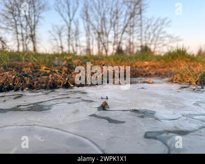 Winter im Siegerland. Der Tag startet wie hier bei Siegen-Oberschelden frostig aber schön schön schön. Baeume Bäume und eine gefrorene Pfuetze Pfütze Winter im Siegerland am 08.03.2024 in Siegen/Deutschland. *** Winter in Siegerland der Tag beginnt wie hier bei Siegen Oberschelden frostige, aber schöne Bäume und ein gefrorener Pfützenwintertag im Siegerland am 08 03 2024 in Siegen Deutschland Stockfoto