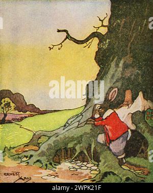 Peter Rabbit und seine Mutter von Louise A Field, illustriert von Virginia Albert; basierend auf Beatrix Potter-Charakteren läuft Peter Rabbit wegen der strengen Regeln seiner Mutter weg, kommt aber nicht sehr weit, weil er im Kreis reist. Stockfoto