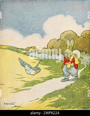 Peter Rabbit und seine Mutter von Louise A Field, illustriert von Virginia Albert; basierend auf Beatrix Potter-Charakteren läuft Peter Rabbit wegen der strengen Regeln seiner Mutter weg, kommt aber nicht sehr weit, weil er im Kreis reist. Stockfoto