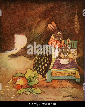 Peter Rabbit und seine Mutter von Louise A Field, illustriert von Virginia Albert; basierend auf Beatrix Potter-Charakteren läuft Peter Rabbit wegen der strengen Regeln seiner Mutter weg, kommt aber nicht sehr weit, weil er im Kreis reist. Stockfoto