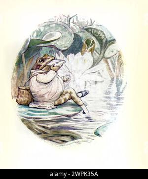 The Tale of Mr. Jeremy Fisher von Beatrix Potter, The Tale of Mr. Jeremy Fisher ist ein Kinderbuch, das von Beatrix Potter geschrieben und illustriert wurde. Es wurde im Juli 1906 von Frederick warne & Co. Veröffentlicht. Jeremy Fisher ist ein Frosch, der in einem „schlüpfrigen“ Haus am Rande eines Teichs lebt. An einem regnerischen Tag sammelt er Würmer zum Angeln und macht sich auf seinem Seerosenboot über den Teich. Er will seine Freunde zum Essen einladen, wenn er mehr als fünf Minnows fängt. Er stößt auf alle möglichen Rückschläge auf sein Ziel und entkommt einer großen Forelle, die versucht, ihn zu schlucken. Er schwimmt zum Ufer, entscheidet sich für ihn Stockfoto