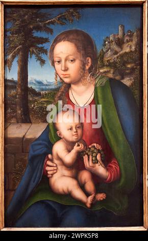 Lucas Cranach el Viejo (Kronach, 1472-Weimar, 1553), die Jungfrau und das Kind mit einem Traubenstrauß, Hacia 1509-1510 Stockfoto