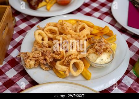 Frischer Fang von Calamari-Tintenfischen in Kroatien Rovinj mit Knoblauchsoße und Pommes frites Fast Seafood. Stockfoto