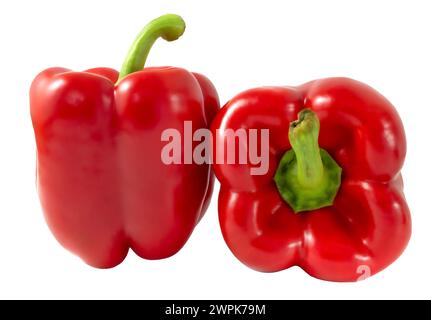 Zwei rote Paprika, Paprika isoliert auf weißem Hintergrund Stockfoto
