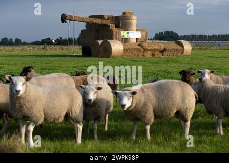 09/14 zur Erntezeit wurde in Terrington S ein lebensgroßer Mähdrescher aus Strohballen auf einem Feld neben der A17 platziert Stockfoto