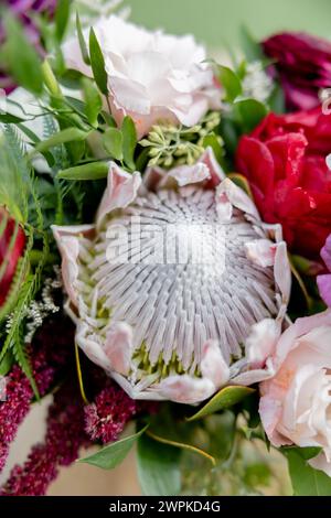 Große Protea-Blüten-Bouquet gemischt mit verschiedenen Blumen Stockfoto