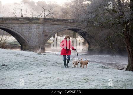 24/11/14 umgeben von Frost geht eine Frau mit ihren Hunden entlang des Flusses Dove, nahe Ellastone, an der Grenze von Derbyshire, Staffordshire nach dem anderen Stockfoto
