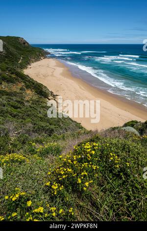 Blick vom Castle Cove Lookout an der Great Ocean Road, Port Campbell National Park, Victoria, Australien Stockfoto