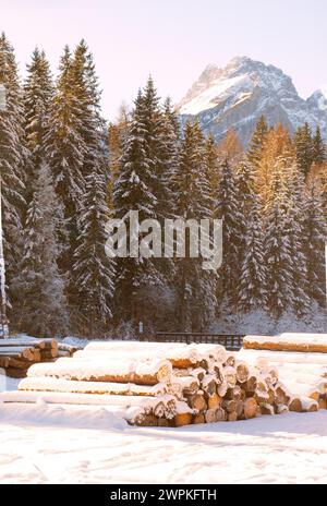 Stapel Baumstämme vor einem Wald mit Gipfel im Hintergrund Stockfoto