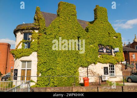 Virginia Kriechelfeu über wachsender Mauer und Schornstein eines Pubs/Wirtshauses (J T Davies) in Banbury. Oxfordshire. UK. Die Anlage kann Schäden verursachen. (134) Stockfoto