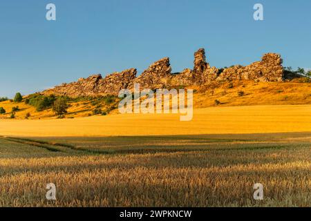 Teufelsmauer Felsformation Teufelsmauer, Weddersleben, Thale, Harz, Sachsen-Anhalt, Deutschland, Europa Copyright: Markusxlange 1160-5335 Stockfoto