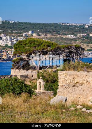 Venezianisches Schloss Fortezza, Stadt Rethymno, Region Rethymno, Kreta, griechische Inseln, Griechenland, Europa Stockfoto