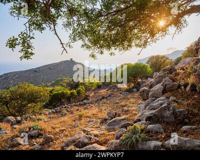 Alter Weg zum Dorf Nikia, Nisyros, Dodekanes, griechische Inseln, Griechenland, Europa Stockfoto