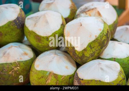 Kokosnüsse können am Marktstand verkauft werden. Stockfoto