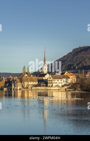 Blick von der Insel Werd über den Rhein in die Altstadt von Stein am Rhein mit St. Georges Kloster, Eschenz, Kanton Thurgau, Schweiz Stockfoto