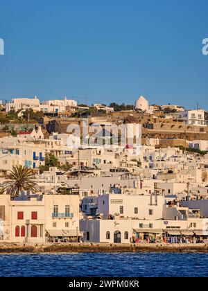 Küste von Chora, Stadt Mykonos, Insel Mykonos, Kykladen, griechische Inseln, Griechenland, Europa Stockfoto