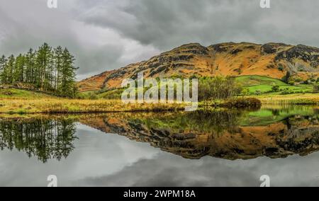 Lingmoor fiel im Flussufer Brathay aus dem Little Langdale Valley im Lake District National Park, UNESCO, Cumbria Stockfoto