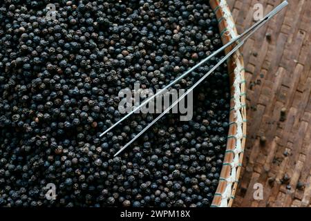 Berühmter schwarzer Pfeffer Kampot, einer der besten Paprika der Welt, Pfefferfarm, Kep, Kambodscha, Indochina, Südostasien, Asien Stockfoto