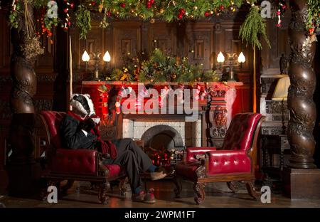 11/15 Dachs in seiner Küche im Eichenraum. Inspiriert vom Wind in der Weide, ist die diesjährige Weihnachtsattraktion „Christmas at Chatsworth with“ Stockfoto