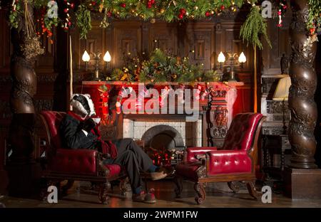 11/15 Dachs in seiner Küche im Eichenraum. Inspiriert vom Wind in der Weide, ist die diesjährige Weihnachtsattraktion „Christmas at Chatsworth with“ Stockfoto