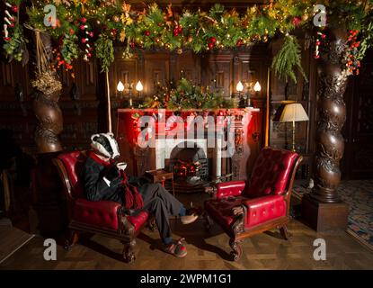 11/15 Dachs in seiner Küche im Eichenraum. Inspiriert vom Wind in der Weide, ist die diesjährige Weihnachtsattraktion „Christmas at Chatsworth with“ Stockfoto