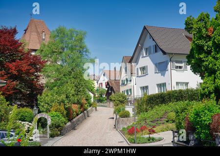 Foto von Vuduz-Häusern in Liechtenstein Stockfoto