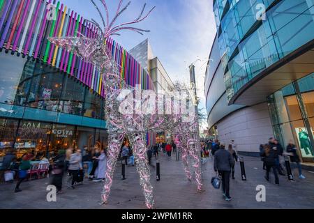 Blick auf Geschäfte und Weihnachtsbeleuchtung, Liverpool City Centre, Liverpool, Merseyside, England, Vereinigtes Königreich, Europa Stockfoto