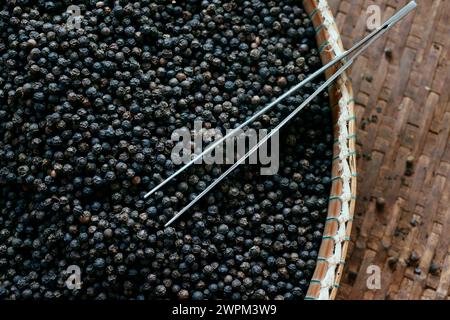 Berühmter schwarzer Pfeffer Kampot, einer der besten Paprika der Welt, Pfefferfarm, Kep, Kambodscha, Indochina, Südostasien, Asien Copyright: Godong 809-89 Stockfoto