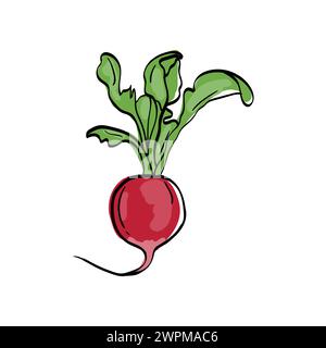 Rettich. Zutat zum Kochen. Heller Vektor Hand gezeichnete Illustration isoliert auf weißem Hintergrund. Stock Vektor