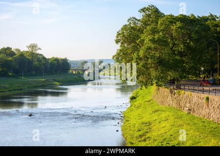 uzh bei Sonnenaufgang. Bäume auf dem grasbedeckten Ufer im Morgenlicht. Brücke in der Ferne Stockfoto