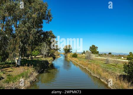 Feuchtgebiete und Bewässerung im Ebro-Delta, Ebro Rives, Riu Ebro, Katalonien, Katalonien, Spanien Stockfoto