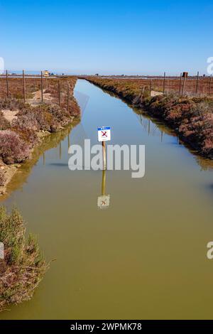 Feuchtgebiete und Bewässerung im Ebro-Delta, Ebro Rives, Riu Ebro, Katalonien, Katalonien, Spanien Stockfoto