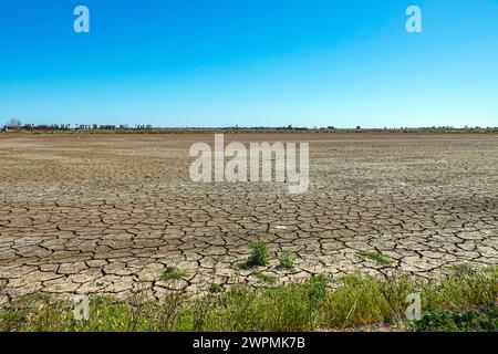 Feuchtgebiete und Bewässerung im Ebro-Delta, Ebro Rives, Riu Ebro, Katalonien, Katalonien, Spanien Stockfoto